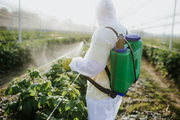 Coachella, CA Pest Control Company